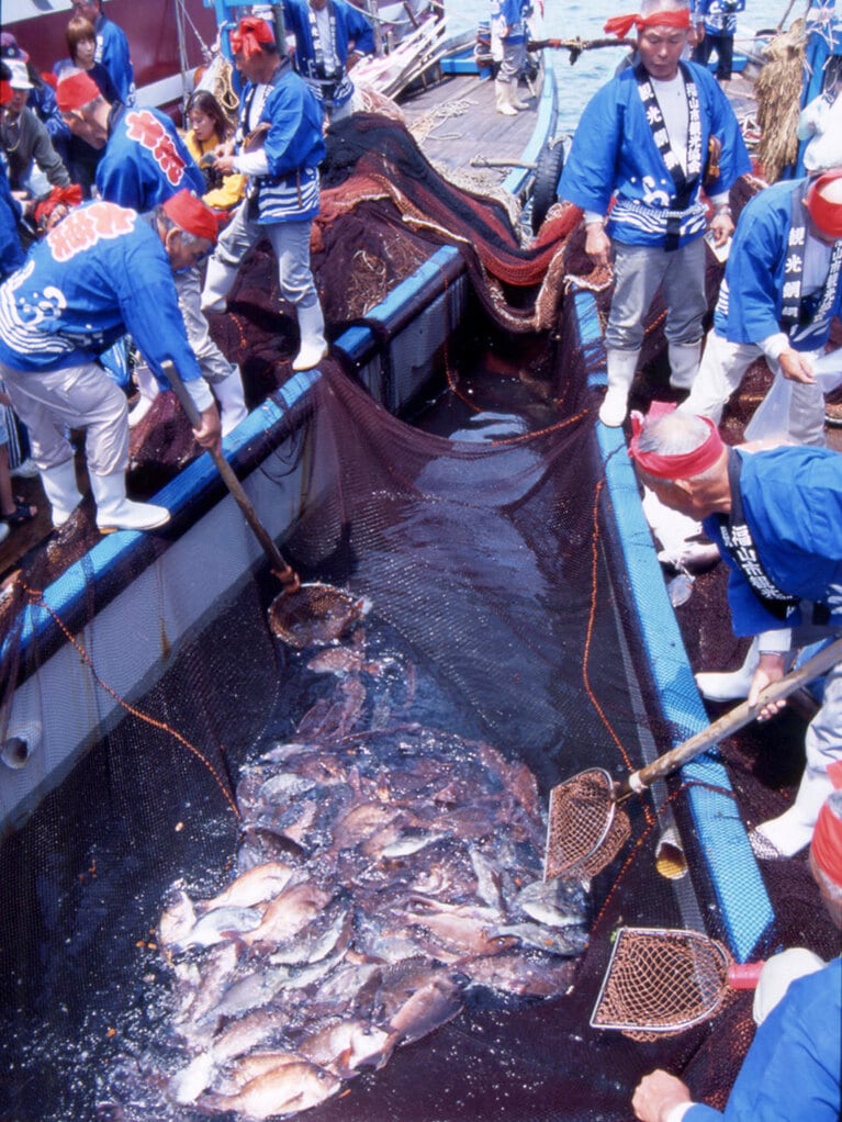 鞆の浦観光鯛網。