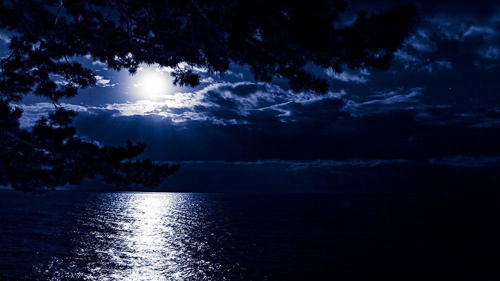 ムーンロードとは、月が海に描く“月光の道”のこと。輝きを増した月が、水平線から昇る時に波打つ海面に一筋の光の道を映し出す。