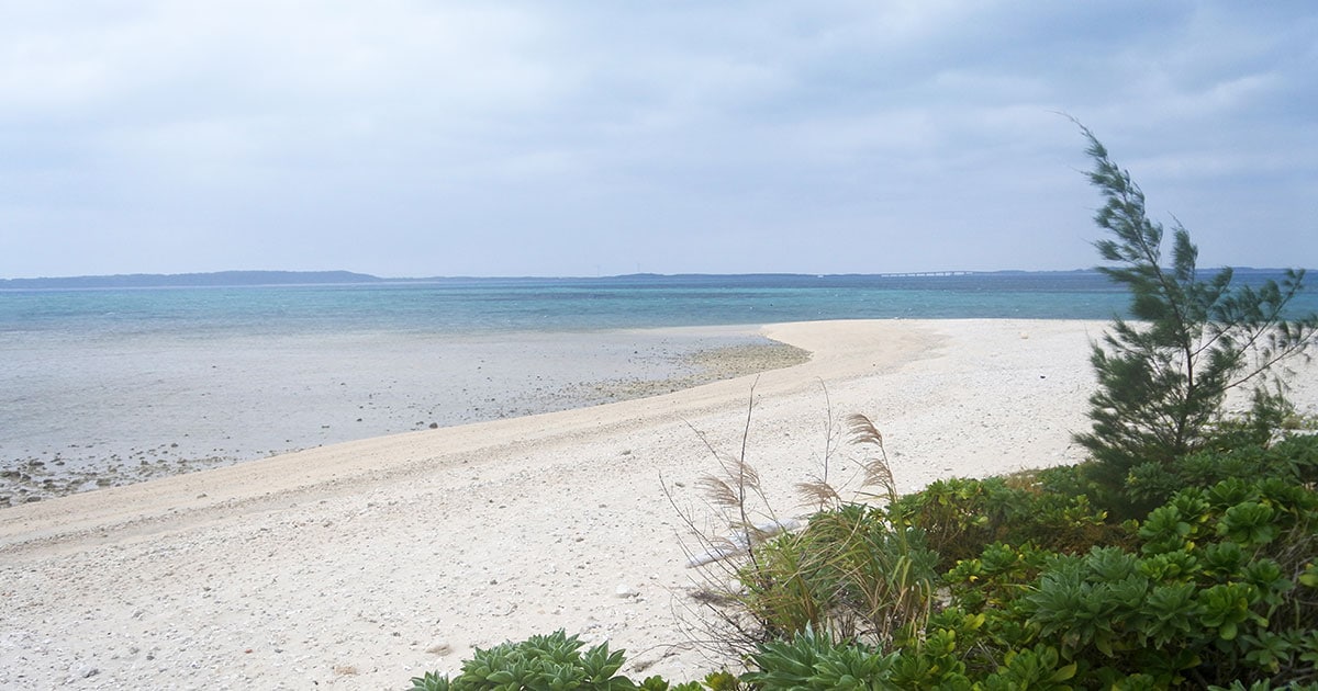 3ページ目)“神様の住む島”こと大神島を探訪！ 人口20人の島で今でも