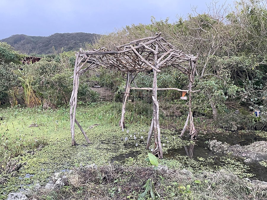 ぽちゃぽちゃと池の中に石が入っていく様子に、ほのぼのとします。