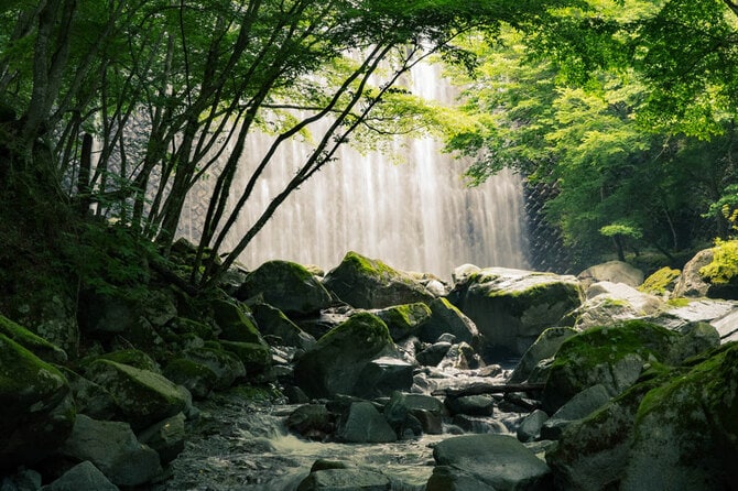 神奈川県 2022年版】 夏の絶景・風物詩6選 美しい自然に包まれた名瀑と 