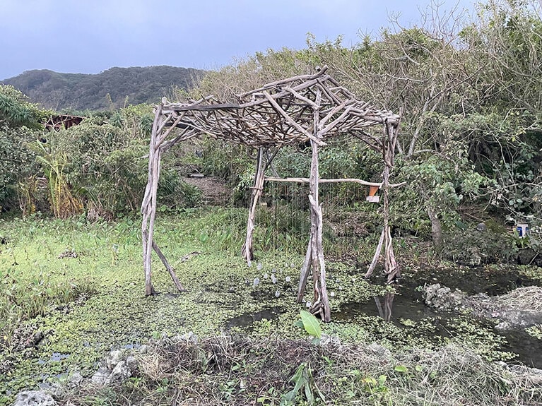 ぽちゃぽちゃと池の中に石が入っていく様子に、ほのぼのとします。