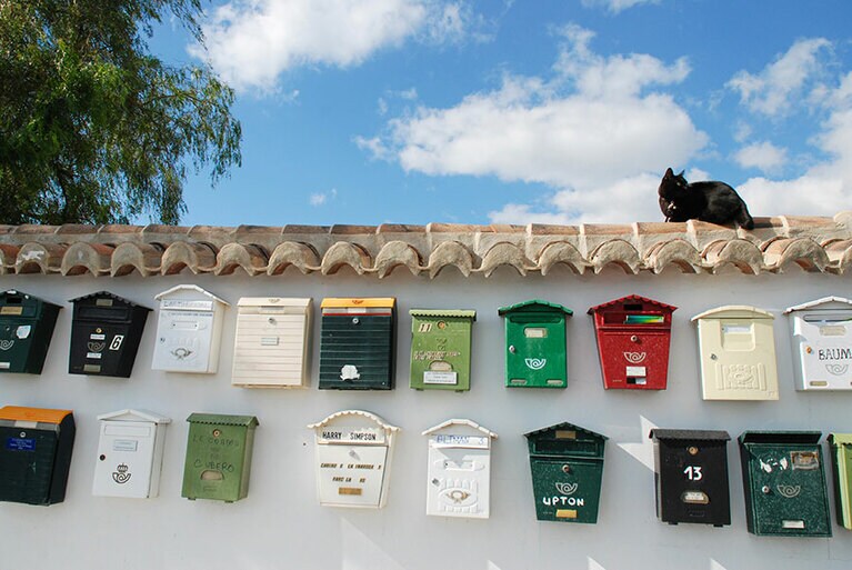 スペイン／フリヒリアナ。