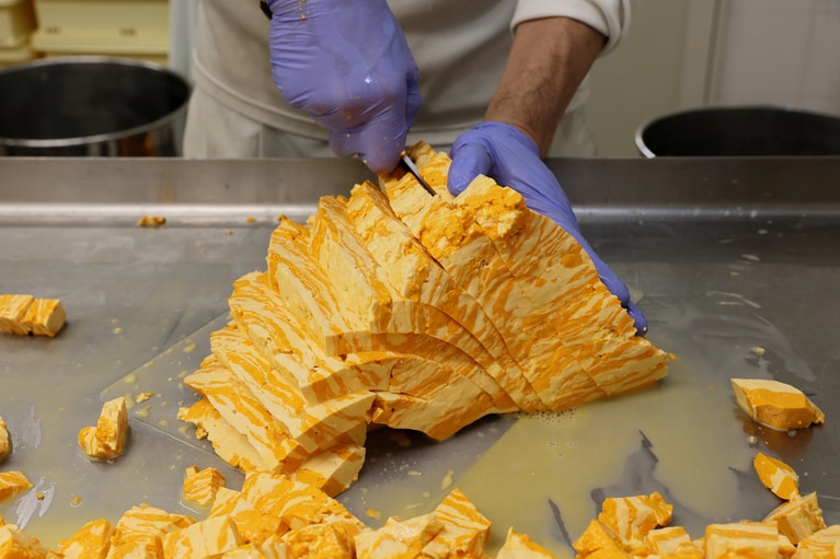 チェダー特有の製造工程「チェダリング」。水分を抜いたカード（チーズのもと）を折り畳んで積み重ねていく。このチェダリングを繰り返すことで、チェダー独特のほろほろ食感になり、酸味や旨味が生まれる。