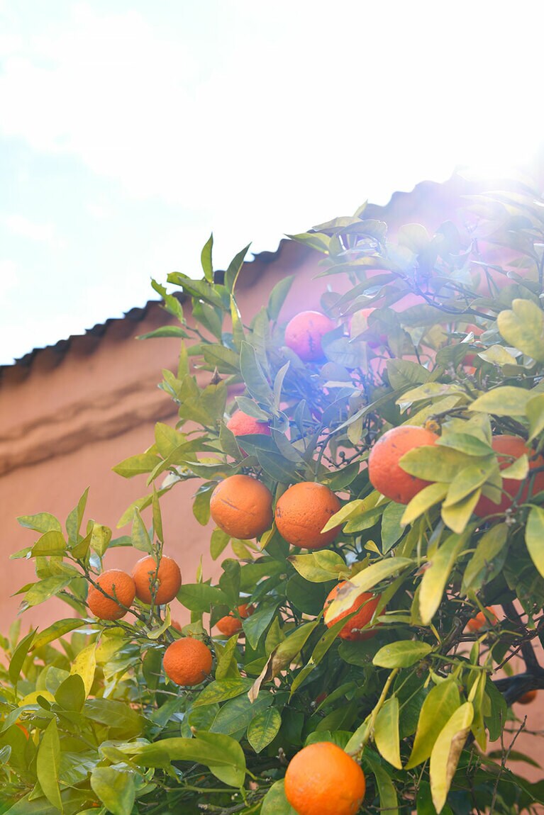 ディテールにまで徹底してこだわったリゾート内。