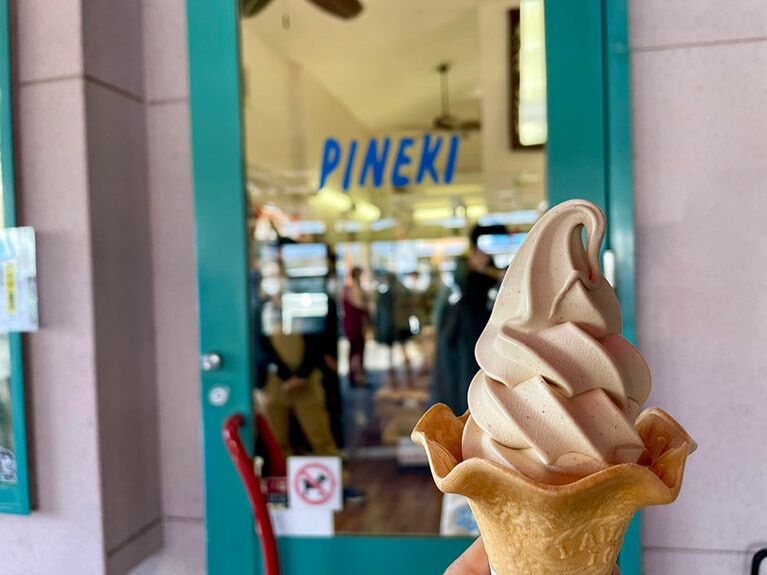 館山ではいろんなソフトクリームを発見。友人いわく、ナンバー1はこれ。