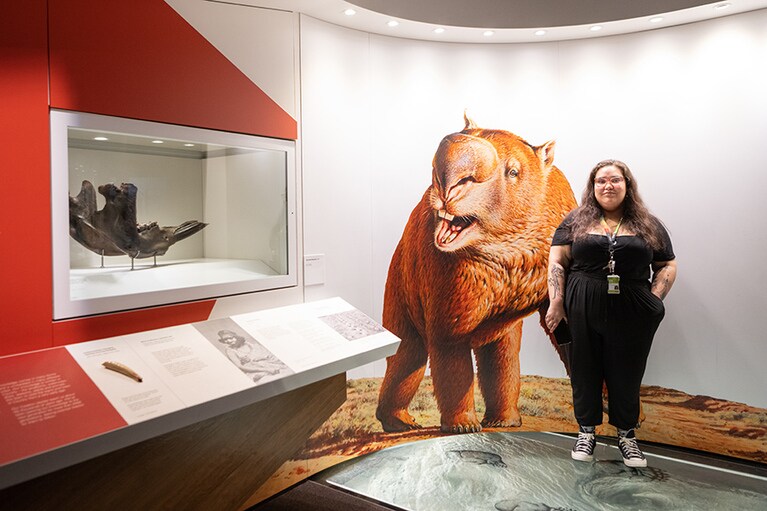 ディプロトドンの復元想像図の前に立ってみると、その大きさにびっくり！