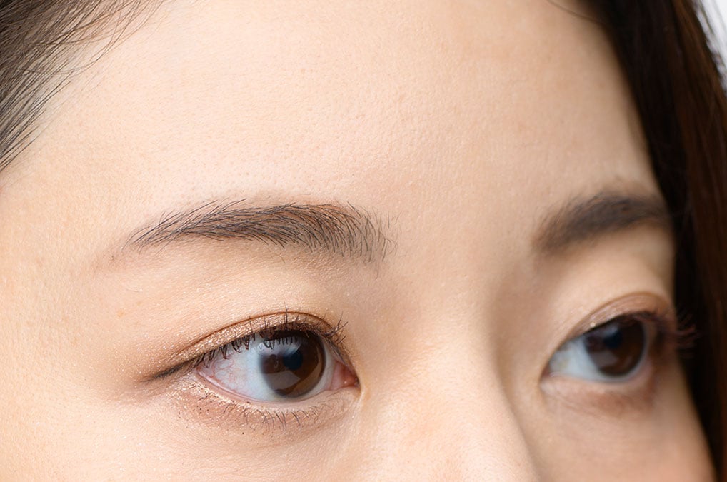 眉の下部を書き足す＆影を入れて立体感をプラス。