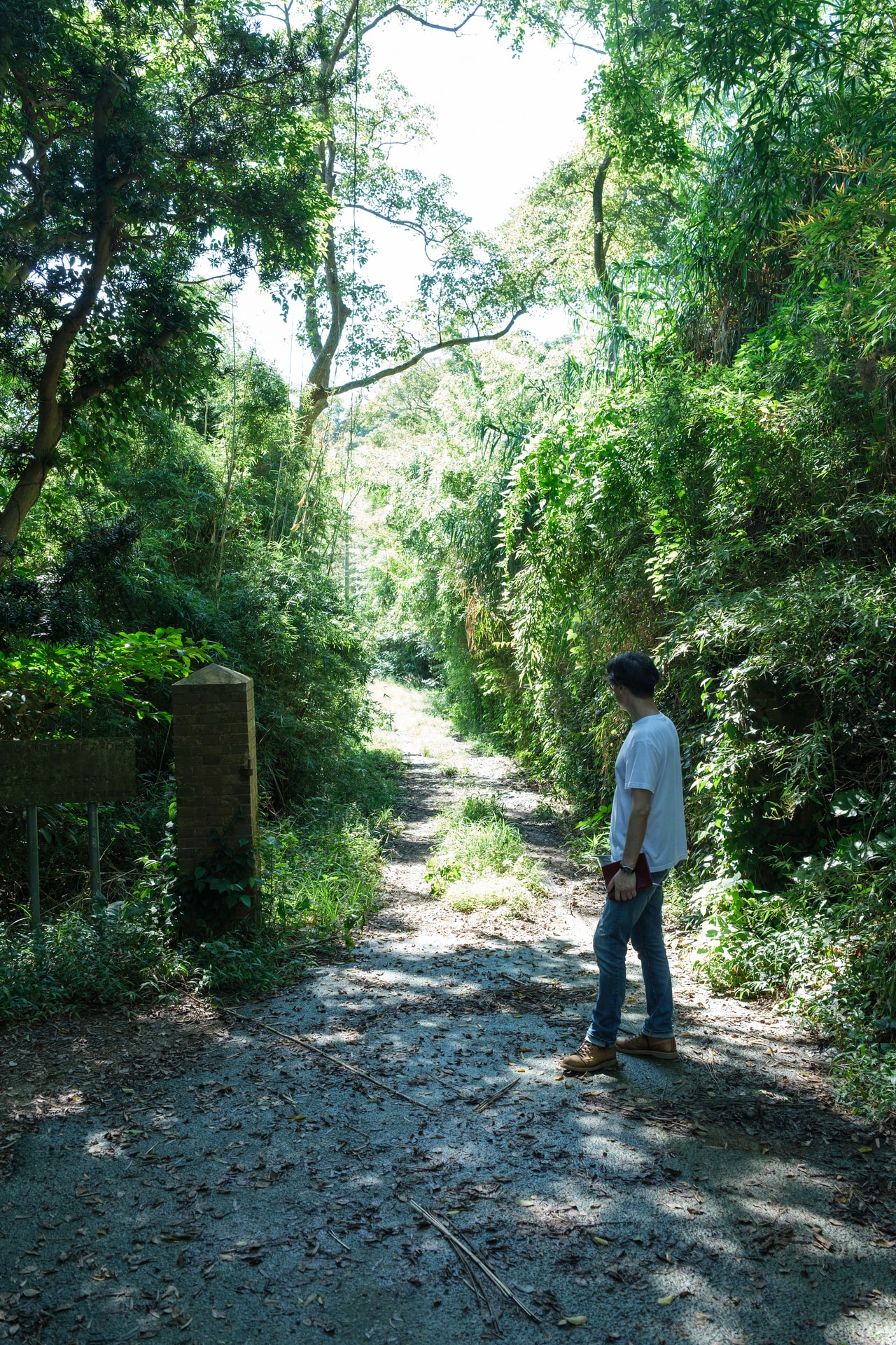 イノシシの足跡が残るけもの道。
