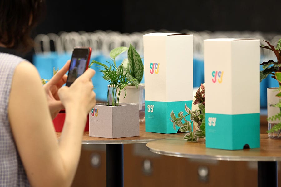 「GG」の植物はシェフレラ、ペペロミアジェリーなど6種類。ボックスタイプの「GG Box Vase」とバッグタイプの「GG Bag Vase」が用意されています。