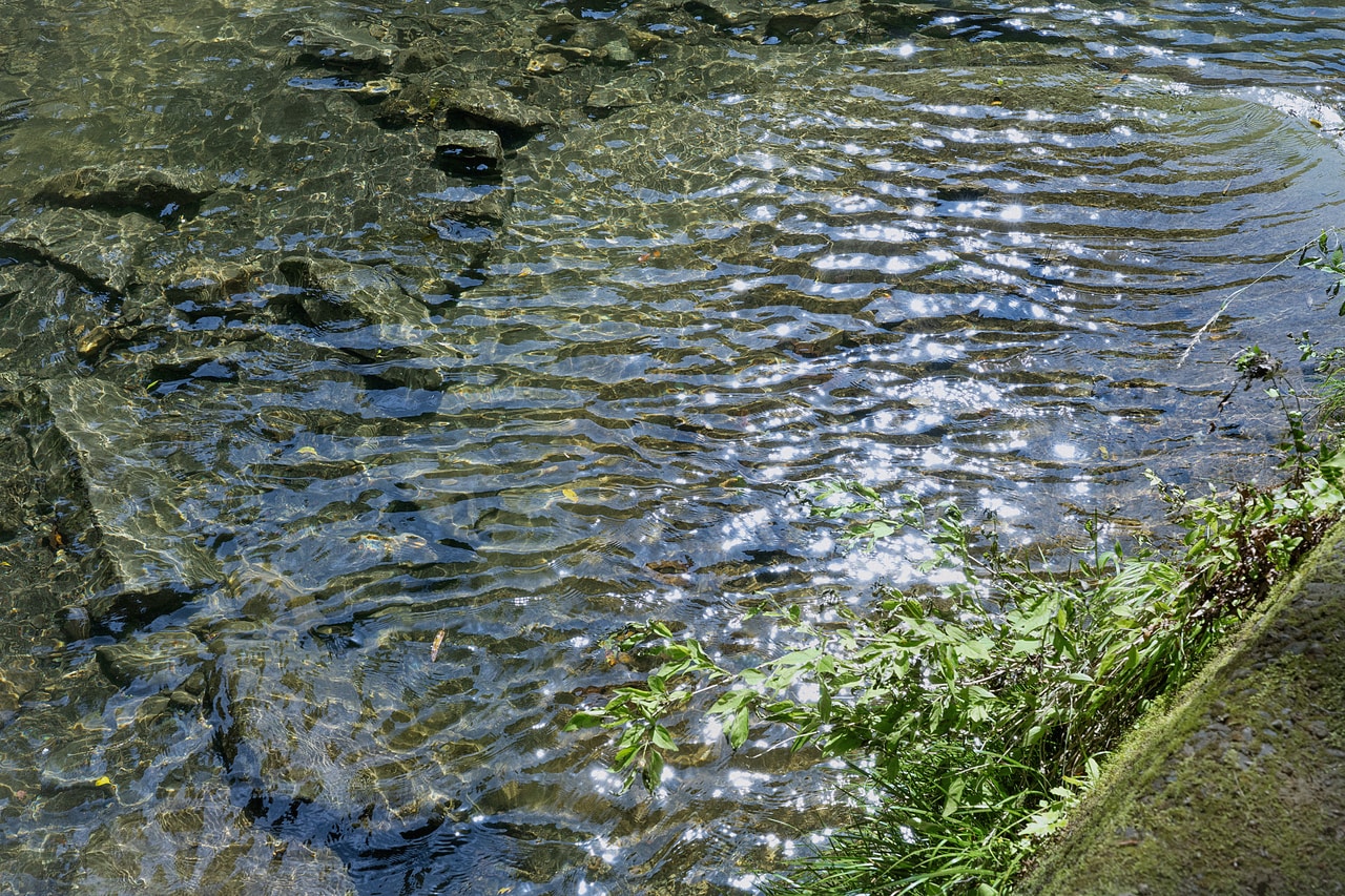 川の水はとても澄んでいて冷たい。