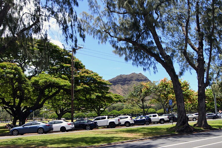 ダイヤモンドヘッドの麓にある、カピオラニ公園に隣接。