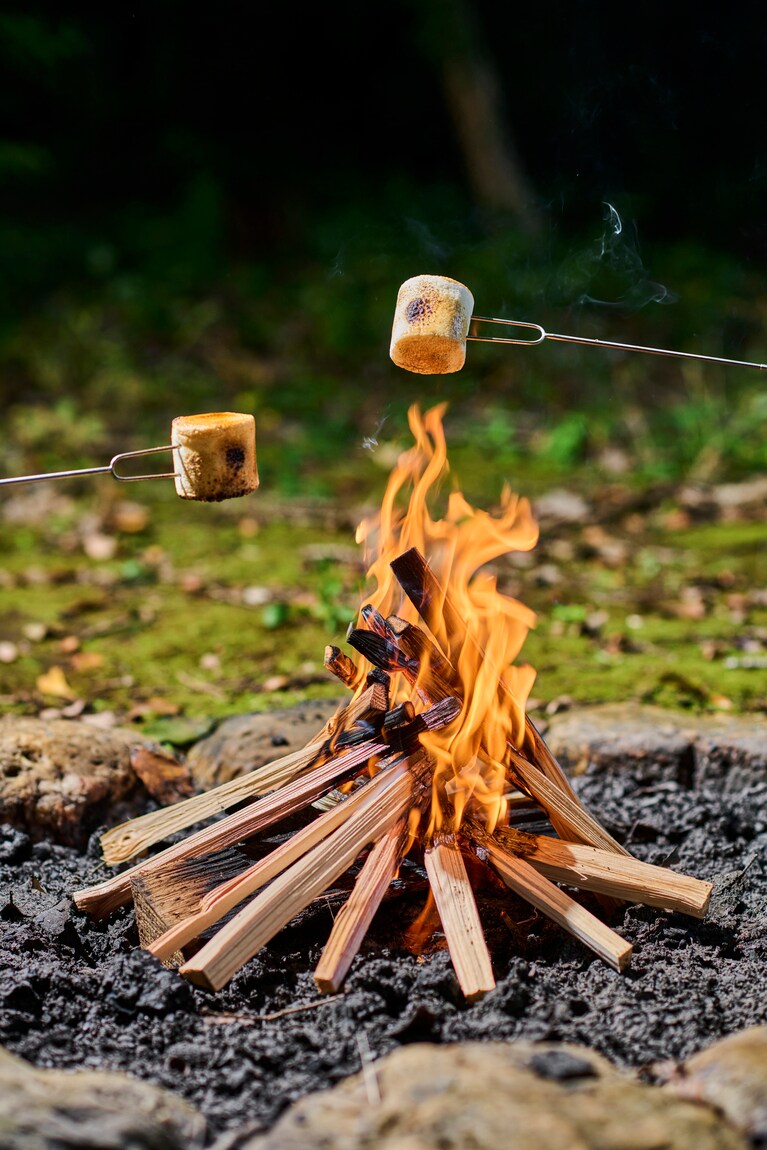 焚き火メシの本。