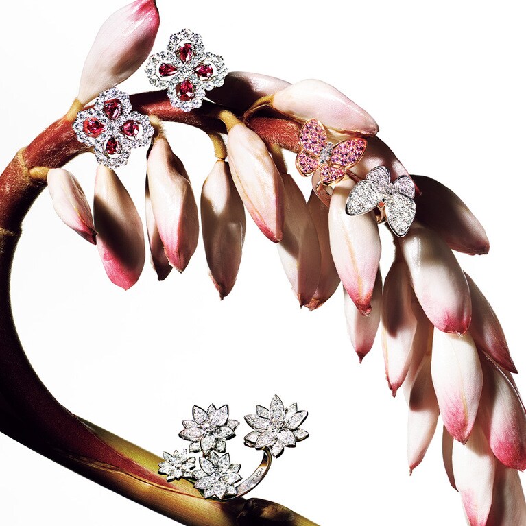 左：「ループ」イヤリング（PT×DIA×ルビー）5,786,000円／ハリー・ウィンストン（ハリー・ウィンストン クライアントインフォメーション）、右：「ドゥ パピヨン アントレ レ ドア」リング（WG×RG×DIA×ピンクサファイア）4,329,600円、下：「ロータス アントレ レ ドア」リング （WG×DIA） 4,290,000円／ヴァン クリーフ＆アーペル（ヴァン クリーフ＆アーペル ル デスク）