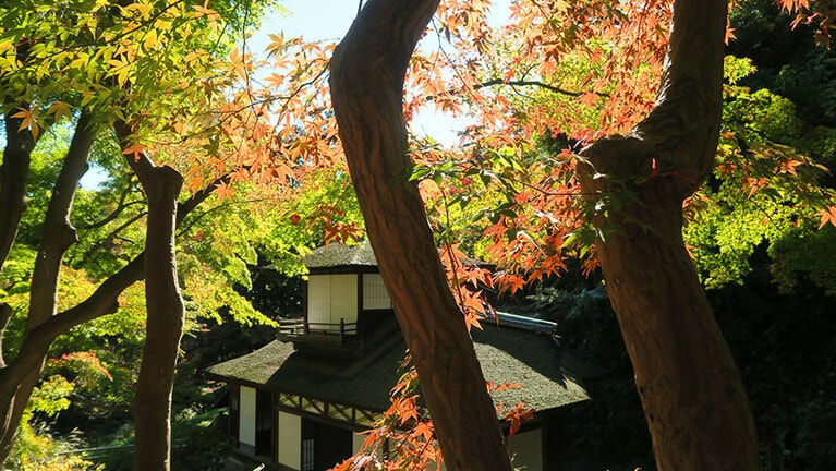 1922年に聴秋閣の移築の完了をもって三溪園が完成。2022年は、完成から100周年の記念すべき年。