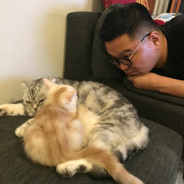 長谷川さんの愛猫コピーくん(奥)とぽこ美ちゃん(手前)。