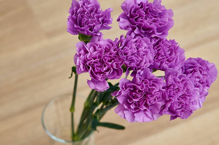 ムーンダストシリーズの中でも、ピンク掛かった色で甘い印象の「ライラックブルー」。