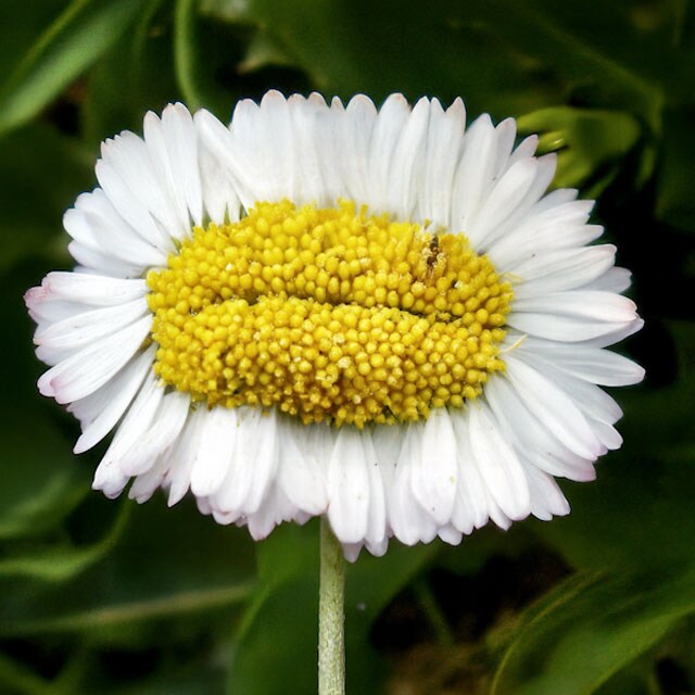 © 2025「恐怖心展」実行委員会