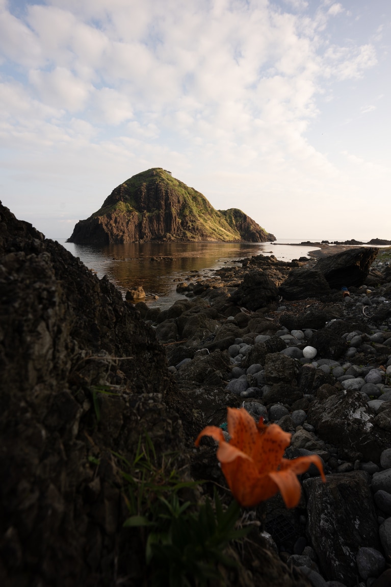 「初夏の佐渡島」　筧 悠里恵 「潮風に咲く一輪」 二ツ亀。