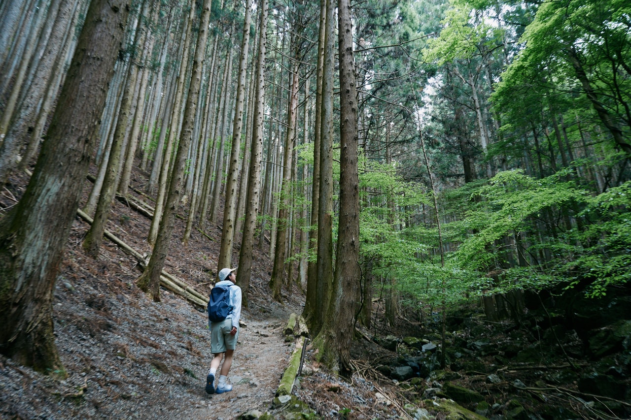 鳴神山には多彩なハイキングコースが用意されている。