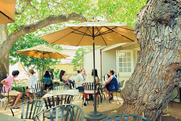 緑溢れるテラス席。