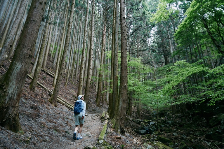 鳴神山には多彩なハイキングコースが用意されている。