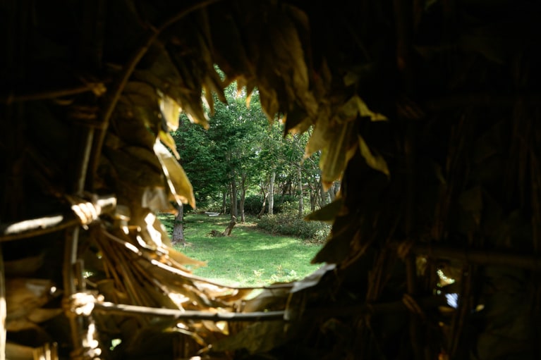 笹の中はブランコのように座れるようになっている。ぽっかりと開けられた穴から外の景色を眺められるというサプライズつき。