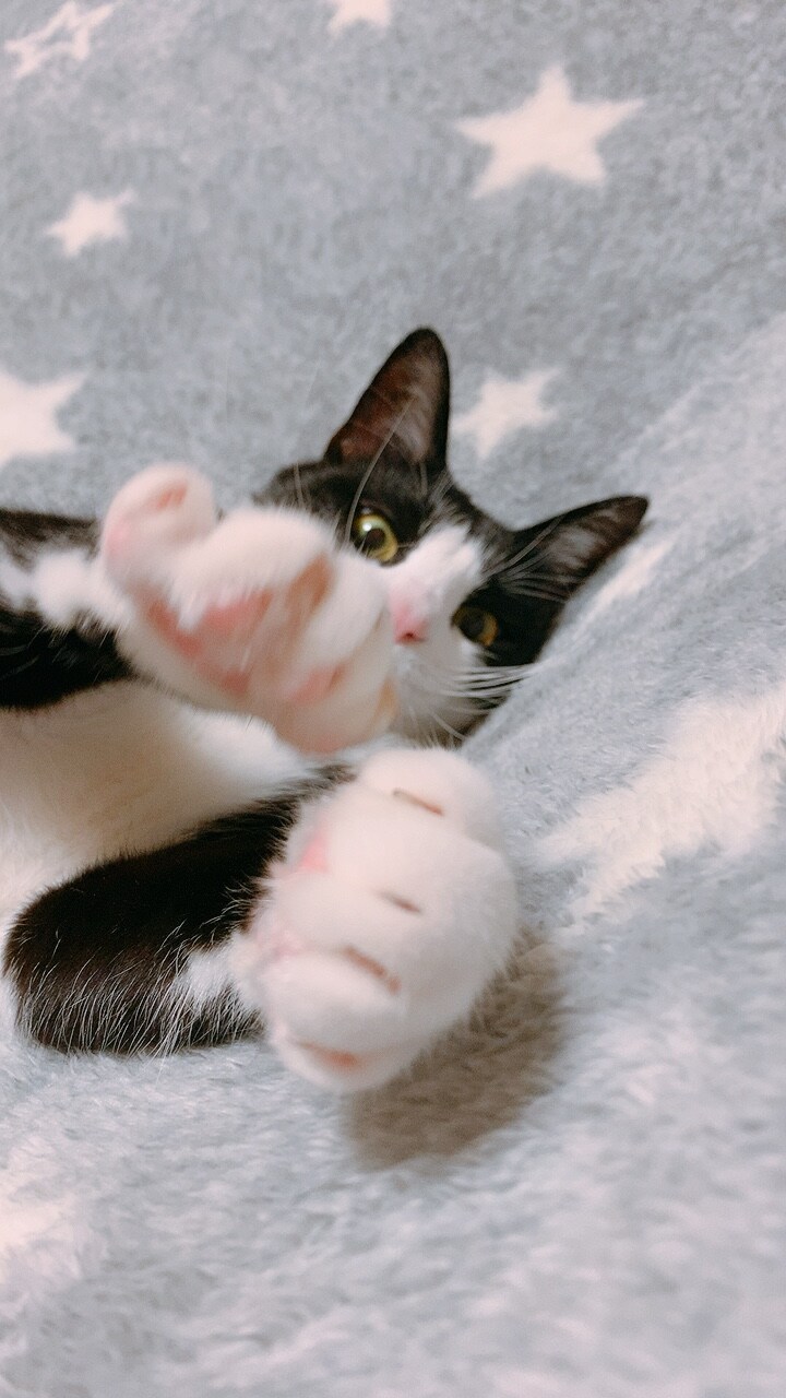 ランド ♂ 不明。