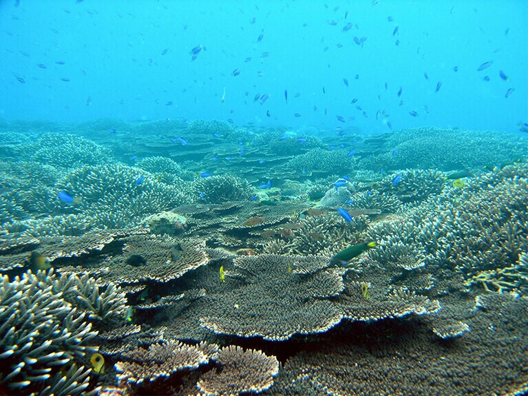 【和歌山県】串本の海。