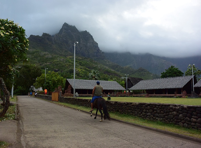 馬もメインの交通手段のひとつ。