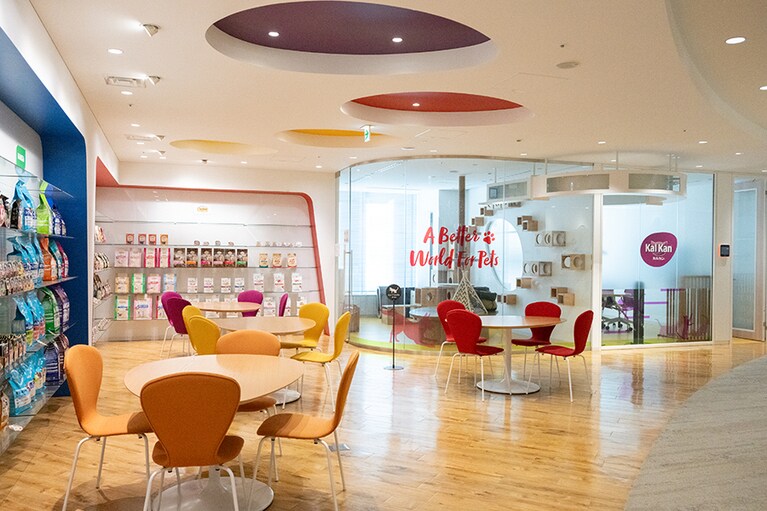 受付後すぐに目に飛び込んでくるキャットルーム。