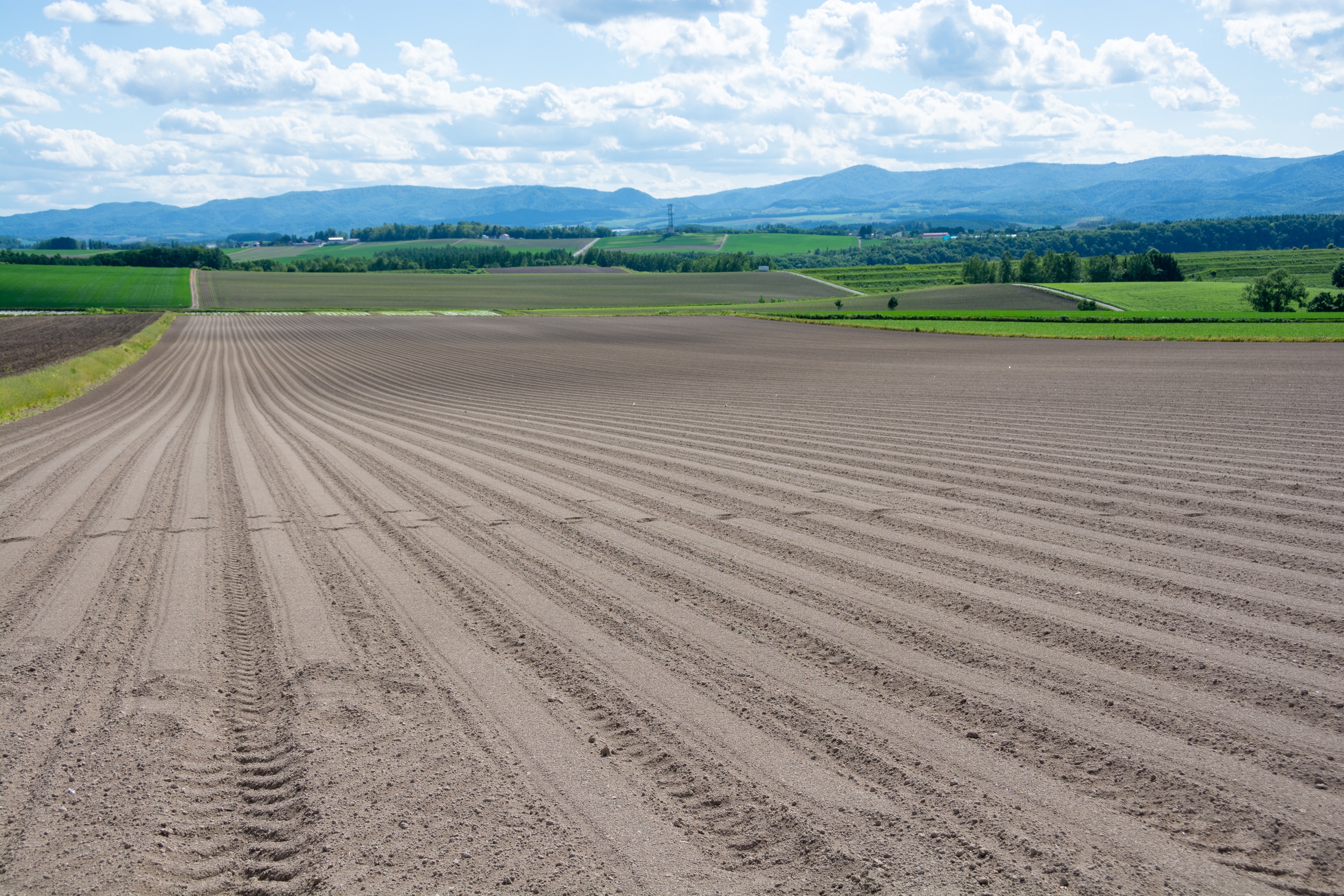 ©kinpouge/イメージマート