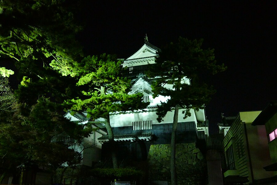 家康公が生まれた夜の岡崎城。