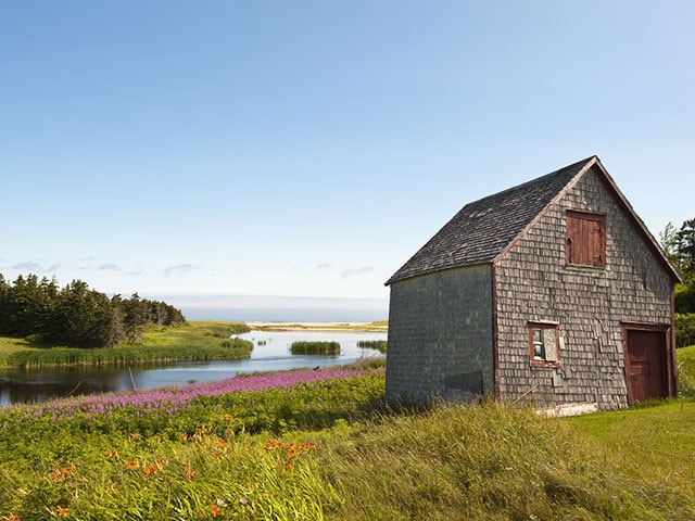 赤毛のアンビスクドール★カナダのプリンスエドワード島で購入　新品未使用 茂木健一郎も絶賛！】『赤毛のアン』の舞台、プリンス・エドワード島の