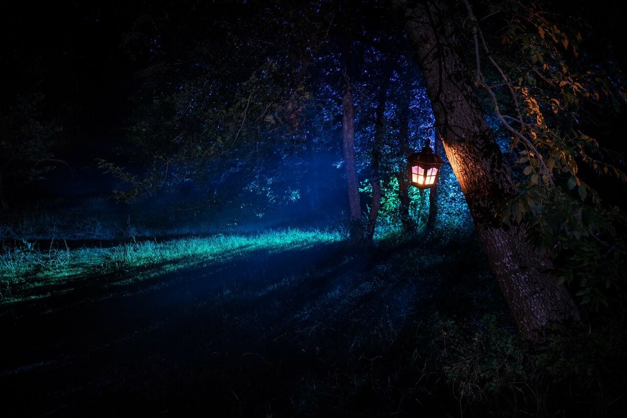 写真はイメージです。提供：アフロ