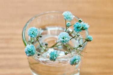 青い花」で夏の暮らしを涼やかに！ インクを使って簡単に作る方法も♡ | 新しい私を、花と。Playful Flower Life！ | 写真 | 7枚目