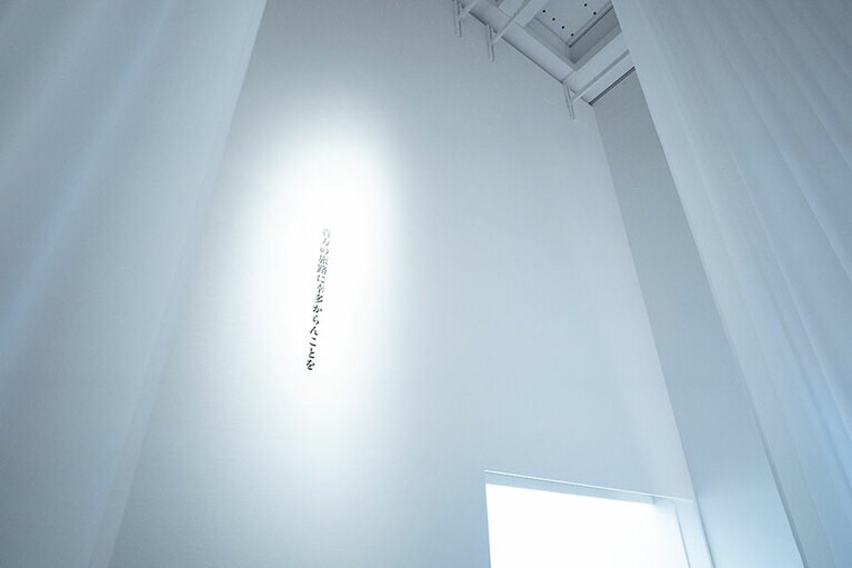 「CLAMP展」国立新美術館　2024年　展示風景。©CLAMP・ShigatsuTsuitachi CO.,LTD. ©C,ST/CEP