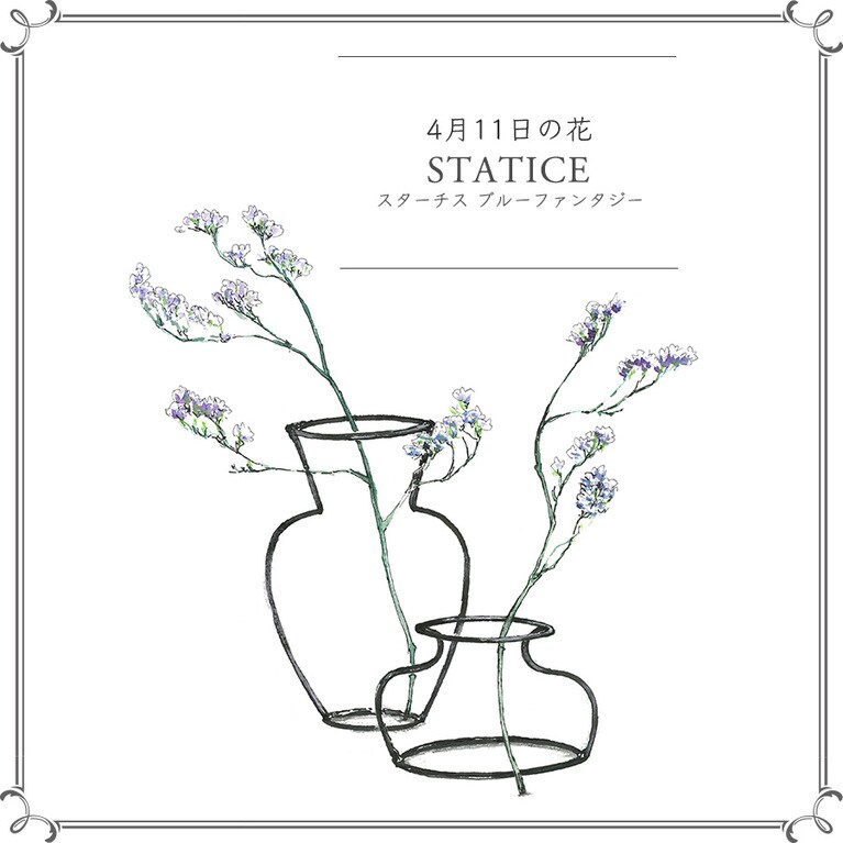 4月11日の花「スターチス ブルーファンタジー」