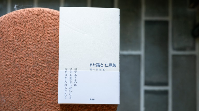 『また猫と 猫の挽歌集』
