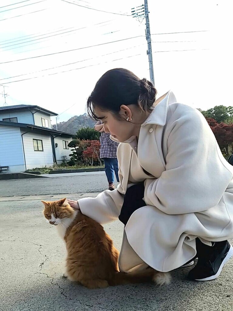 取材先で出会った猫。