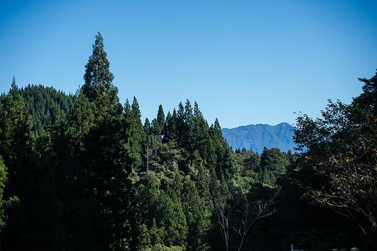 新潟県・里山十帖の秋