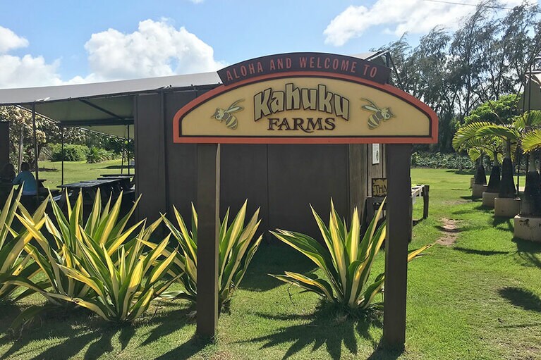 カフクといえばエビが有名ですが、大人の社会科見学にぴったりなこちらもおすすめ。