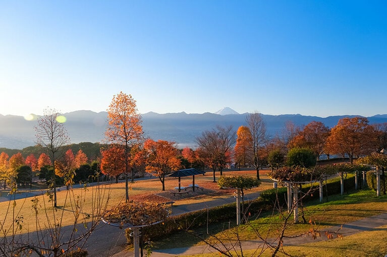 笛吹川フルーツ公園。