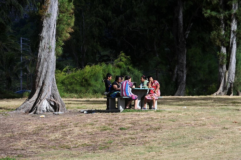 カジュアリーナの木々の下でおしゃべりに興じているハワイアン。