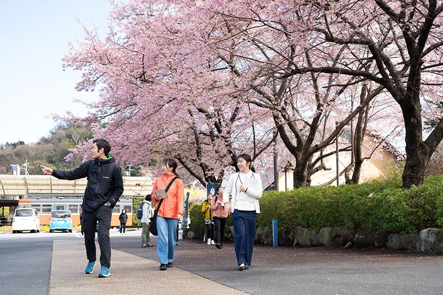 桜の木からはメジロのさえずりが聞こえました。