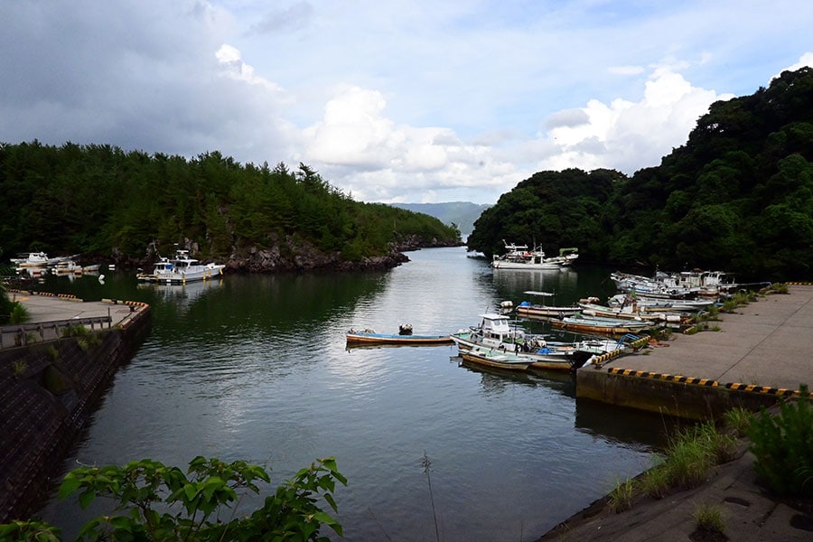 塩屋ヶ元港。少し緑がかった海水は、海底から湧き出る温泉成分によるもの。