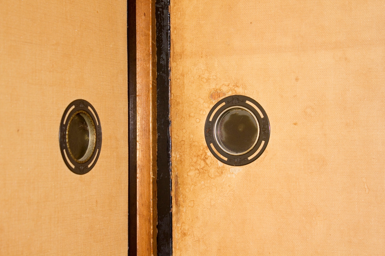 写真はイメージです。写真：GYRO_PHOTOGRAPHY/イメージマート