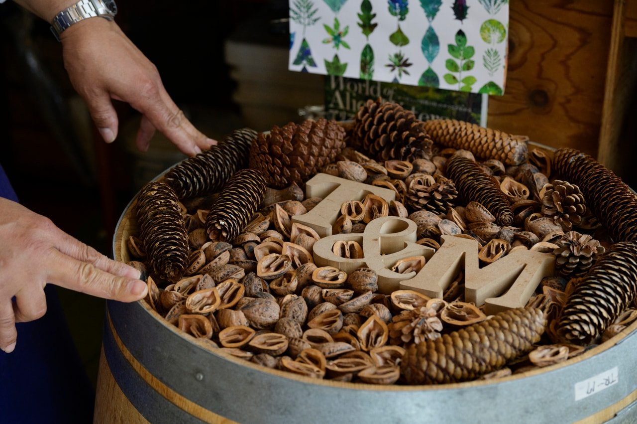 新潟のワイナリー「ドメーヌショオ」から譲られたワイン樽の上に、佐渡の胡桃の殻や松ぼっくりでロゴをあしらう遊び心も。テーブル代わりに使う予定。