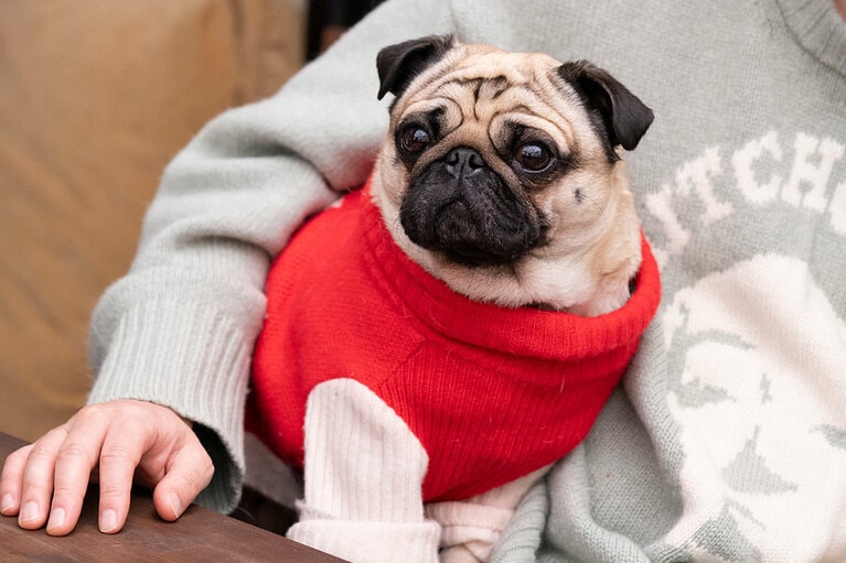 アザーカット。