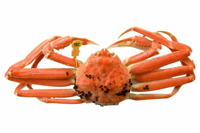 越前がに（浜ゆで）1パイ600g前後 時価（前年度相場11～1月30,000円、2～3月20,000円）／「TSUTOYA」生商